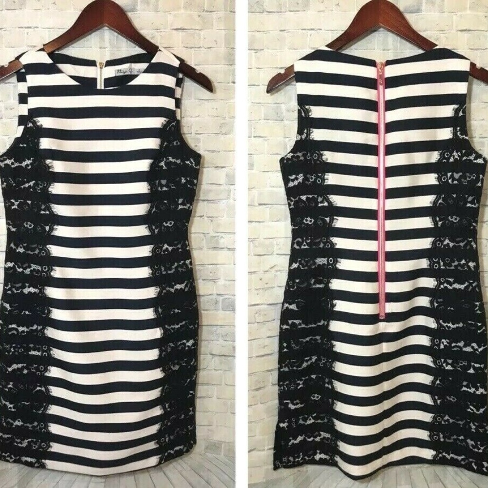 Eliza J - Black Stripe Lace A-Line Sheath Dress
